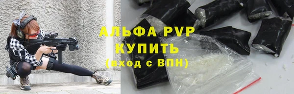 гидра Горнозаводск