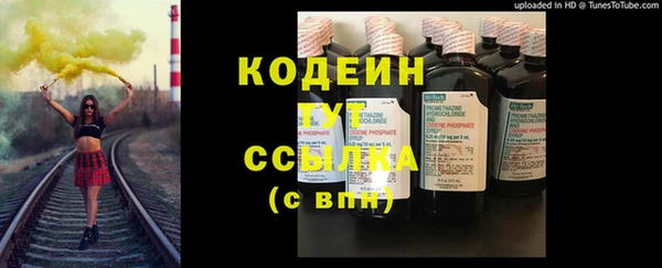 скорость Вяземский