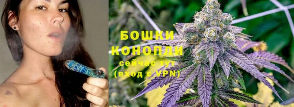 молекула духа Горно-Алтайск
