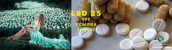 гидра Горнозаводск