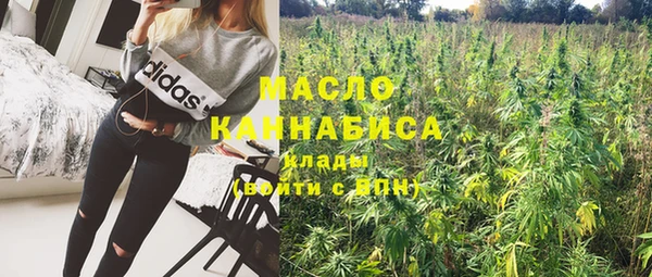 скорость Вяземский